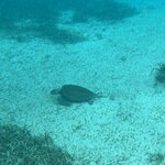 Photo taken by LaTasha J