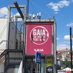 Photo taken by Mollie D