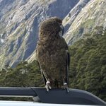 Photo taken by Wendell C