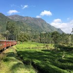 Train Kandy to Ella. Magnificent scenery through tea fields, villages and mountains.  | Photo taken by Sylvanna C