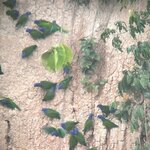 Photo taken by Insiyah K