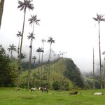 Photo taken by Brett F