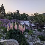 Photo taken by Trent G