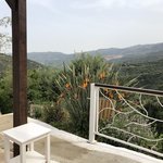 Photo taken by Liz S