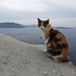 Photo taken by Elin T