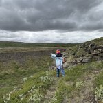 Photo taken by Dawn S