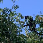 Photo taken by Luke T