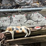 Photo taken by Beverly G