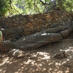 Ruth and Flerio Melanes Kouros | Photo taken by Tom B