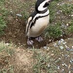 Photo taken by Karen L