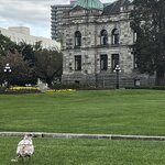 Photo taken by Fernanda S