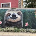 Photo taken by Sharon N