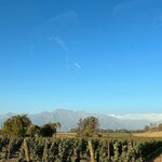 Photo taken by Daphne P