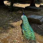 Photo taken by Ashwini G