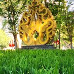 Photo taken by E.J. B