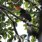 Photo taken by Matteo R