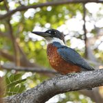 Photo taken by Graeme W