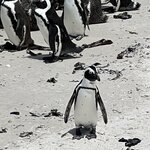 Photo taken by Christopher F