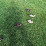 Photo taken by David G