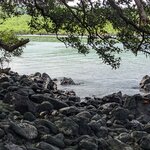 Photo taken by mimi s