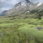 Photo taken by Manon G