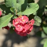 Photo taken by Dixie W