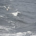 Photo taken by William R