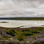 Photo taken by Kim C