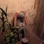 Photo taken by Becca S