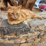 Photo taken by Matt M