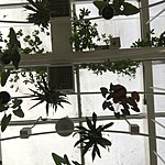 Photo taken by Ayca A