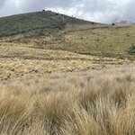 Photo taken by Priya R