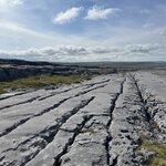 Photo taken by Sullivan S