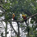 Photo taken by Graciela P