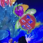 Photo taken by Sandra C