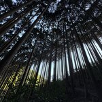 Photo taken by Derek A