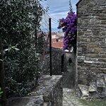 Photo taken by Jon A