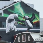 Photo taken by PETER S