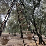 Photo taken by Joey R