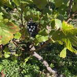 Photo taken by Melody B