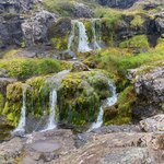 Photo taken by Eliza M