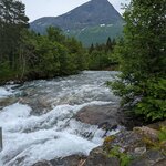 Photo taken by Dani L