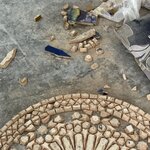 Photo taken by Pam L