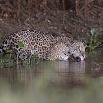 Photo taken by Matt W