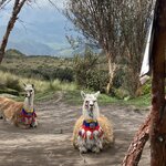 Photo taken by Nina S