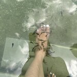 Photo taken by Sakura I