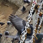 Photo taken by Rita W