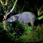 Photo taken by Jim W