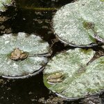 Photo taken by Catherine H