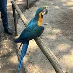 Photo taken by Randall D